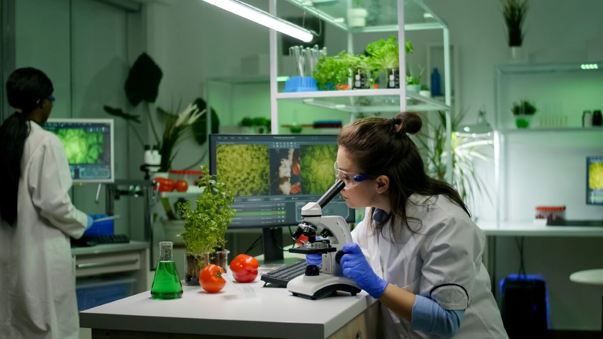 Why Food Safety and Quality Management Software is Essential for Restaurants