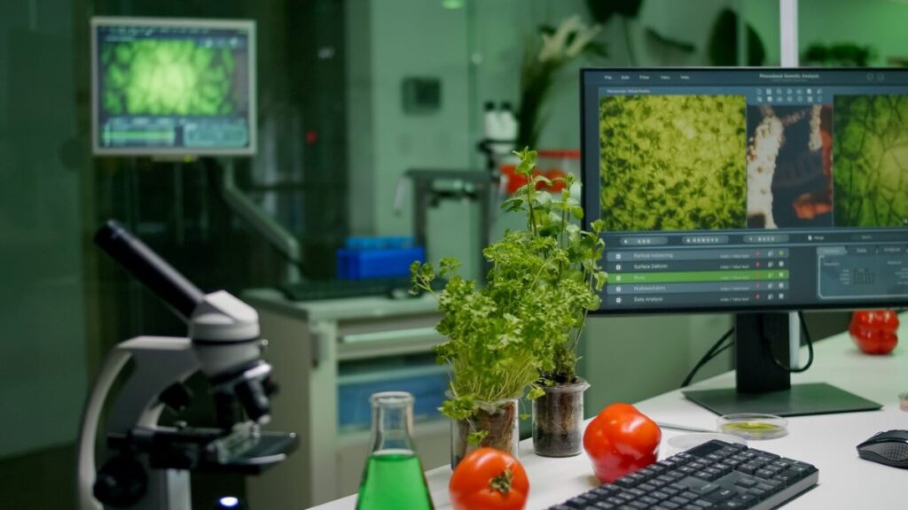 Food safety audits